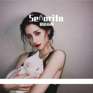 Shawn Mendes-Señorita(Remix)（精彩苏刚 remix）