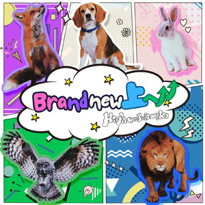 Brandnew上へ↑↑