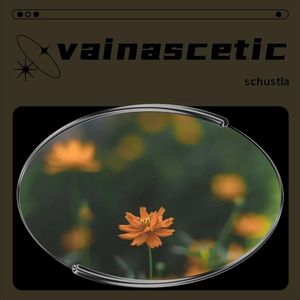 vain ascetic