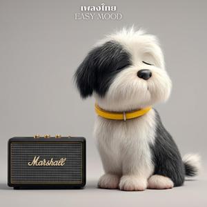 เธอพูดเล่น แต่ฉันคิดจริง (You Were Joking,I Wasn't)