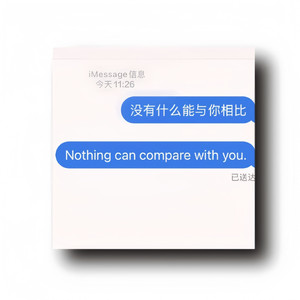 Nothing can compare with you