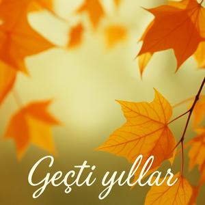 Ayrılığın Acısı