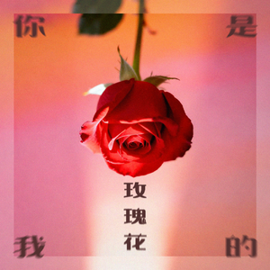 你是我的玫瑰花