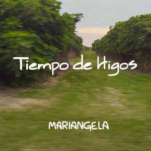 Tiempo de Higos