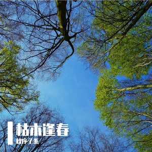 枯木逢春
