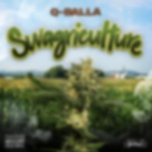 Bagman (feat. Fresh & LUL Zip)