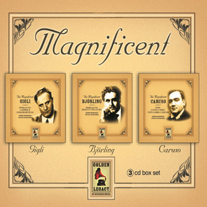 Il Trovatore: "Di quella pira"