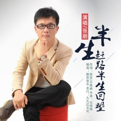 半生赶路半生回望