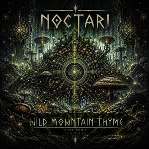 Wild Mountain Thyme