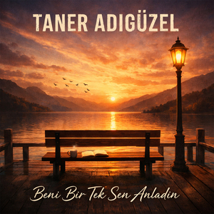 Beni Bir Tek Sen Anladın