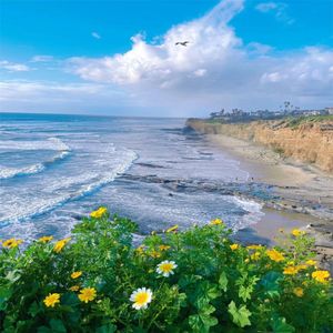 夏日午后的微风