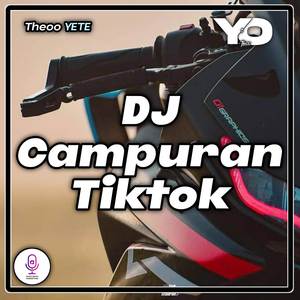 DJ Campuran Theoo