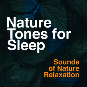 Clattering Rain on Branches