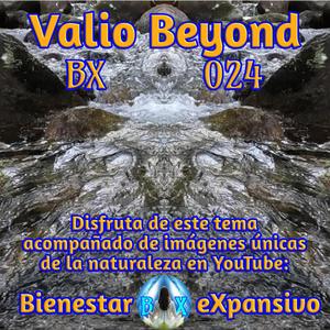 BX 024 Silencio entre notas