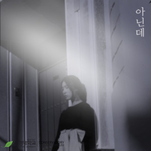 아닌데(feat.이선호)