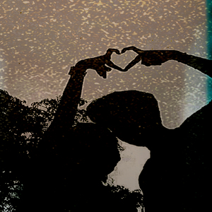 Você Não Vai Voltar