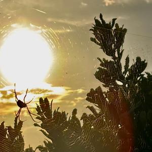 Baby, set yourself free