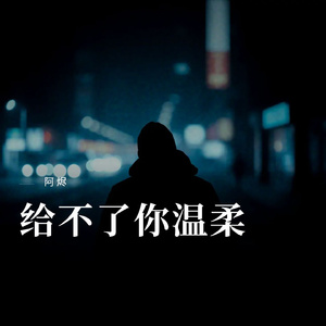 给不了你温柔