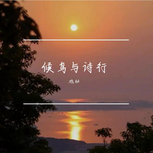 候鸟与诗行