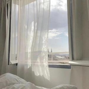 星辰下的梦幻探寻