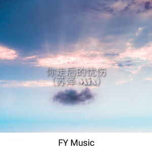 你走后的忧伤 (苏泽 Mix)