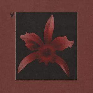 Punkty Płonące (single mix)