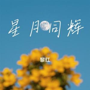星月同辉