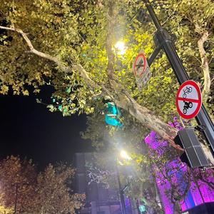 别念旧也别回头