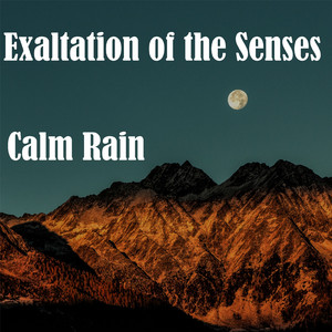 Sensation Distortion