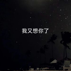 我又想你了