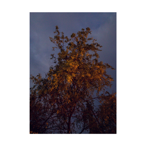 Rare (Lootbeg Remix)