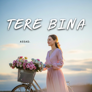 Tere Bina