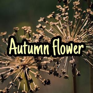 Autumn Flower