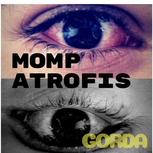 Gorda