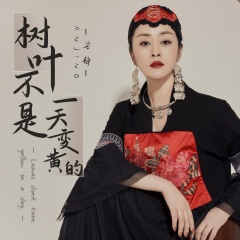 树叶不是一天变黄的