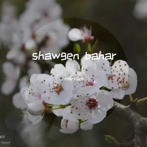shawgen bahar(肖贡巴哈尔)