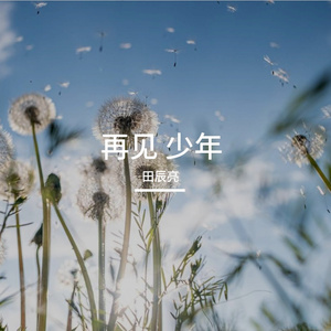 再见 少年
