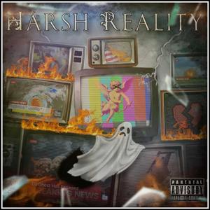 Harsh Reality (feat. Dee 3k)