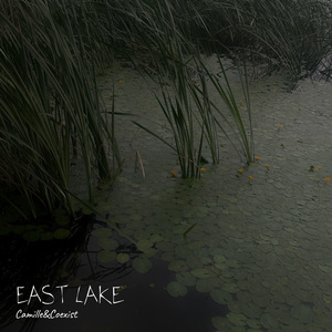 Esat Lake