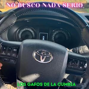 NO BUSCO NADA SERIO