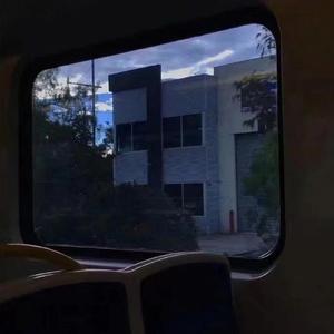 阿尔茨海默的爱