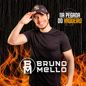 Forró de Vaquejada