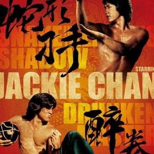 成龙-醉拳（王天野 remix）