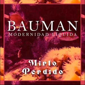 Bauman (Modernidad Líquida)