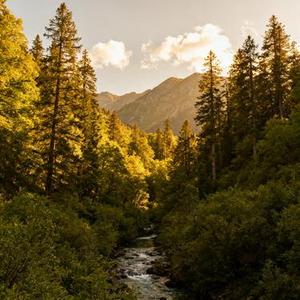 隔着地图拥抱你 (Cover 春日诗)