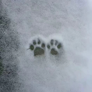 不太懂（prod.JayDsss)