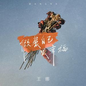 假装自己很幸福 (DJ九零版)