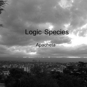 Apacheta