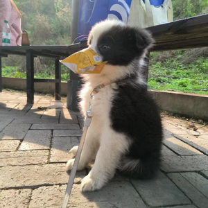 杯底时差