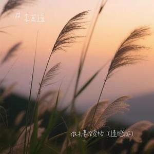 做夫妻没资格